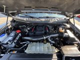 Used 2020 Ford F150 Raptor w/ Equipment Group 802A Luxury image 2