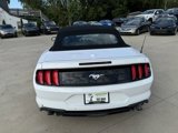 Used 2022 Ford Mustang Premium image 4