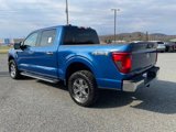 Used 2024 Ford F150 XLT image 4