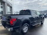 New 2025 Ford F150 XLT w/ Equipment Group 302A MID image 3