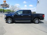 Used 2023 Ford F150 XLT w/ Equipment Group 302A High image 2