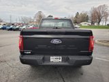 New 2025 Ford F150 XL image 4