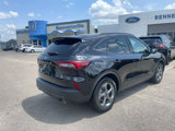 Used 2025 Ford Escape ST-Line w/ Tech Pack #1 image 3