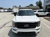 Certified 2023 Ford F150 XLT w/ Equipment Group 302A High image 2