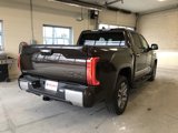 New 2025 Toyota Tundra 1794 Edition image 3