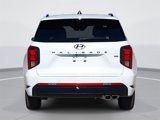 New 2025 Hyundai Palisade Calligraphy image 6