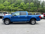 New 2025 Ford F150 XLT w/ Equipment Group 302A MID image 2