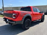 Certified 2023 Ford F150 Raptor w/ Raptor 37 Performance Package image 4