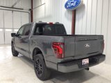 New 2025 Ford F150 Platinum image 3