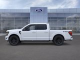 New 2025 Ford F150 XLT w/ Equipment Group 302A MID image 3