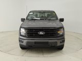 New 2025 Ford F150 XLT w/ Equipment Group 303A High image 2