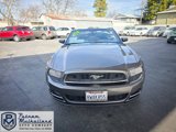 Used 2014 Ford Mustang Premium image 6