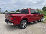 New 2025 Ford F150 XLT w/ Equipment Group 302A MID image 6
