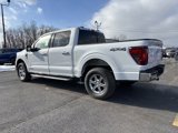 New 2025 Ford F150 XLT w/ Equipment Group 302A MID image 5