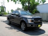 Used 2019 Ford F150 XLT w/ Equipment Group 302A Luxury image 2