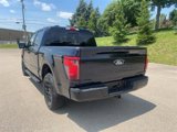 New 2025 Ford F150 XLT image 2