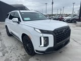 New 2025 Hyundai Palisade Calligraphy image 3