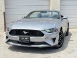 Used 2023 Ford Mustang Premium w/ Equipment Group 201A image 5