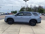 New 2025 Honda Pilot Black Edition image 6