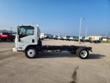 New 2025 Chevrolet Low Cab Forward 5500HG image 4