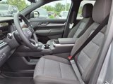 New 2026 GMC Terrain Elevation image 5