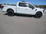 New 2025 Ford F150 XLT image 4