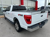 Used 2021 Ford F150 XLT w/ Equipment Group 301A Mid image 3