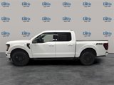 New 2025 Ford F150 XLT w/ Equipment Group 302A MID image 2