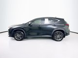 Used 2024 Lexus NX 250 FWD image 4