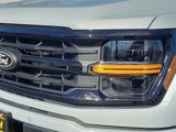 New 2025 Ford F150 XLT w/ Equipment Group 302A MID image 5