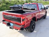 New 2025 Ford F250 Platinum w/ Tremor Off-Road Package image 5
