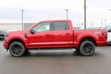 New 2025 Ford F150 XLT w/ Equipment Group 302A MID image 5