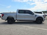 Used 2025 Ford F150 XLT w/ Equipment Group 302A MID image 6