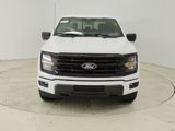 New 2025 Ford F150 XLT image 2