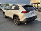 Certified 2024 Toyota RAV4 XLE Premium image 3