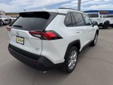 New 2025 Toyota RAV4 XLE Premium image 3