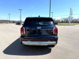 Used 2024 Hyundai Palisade Calligraphy image 4