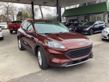 Used 2021 Ford Escape SE w/ Cold Weather Package image 5
