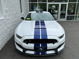 Used 2016 Ford Mustang Shelby GT350 w/ Technology Package image 3