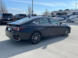 Used 2025 Lexus ES 300h w/ Premium Package image 3