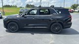 New 2025 Hyundai Palisade Calligraphy image 4