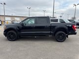 Certified 2022 Ford F150 XL image 3