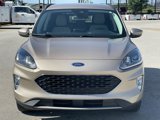 Used 2021 Ford Escape SEL w/ Technology Package image 2