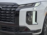 New 2025 Hyundai Palisade Calligraphy image 5
