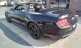 Used 2020 Ford Mustang Premium image 2