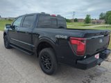 New 2025 Ford F150 XLT w/ Equipment Group 302A MID image 5