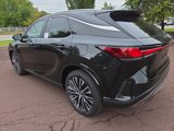 New 2025 Lexus RX 350 Premium Plus image 4