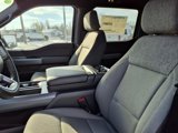 New 2025 Ford F150 XLT w/ Equipment Group 302A MID image 4