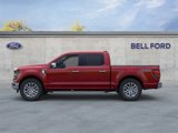 New 2025 Ford F150 XLT w/ Equipment Group 302A MID image 4