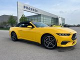 Used 2024 Ford Mustang Premium image 2